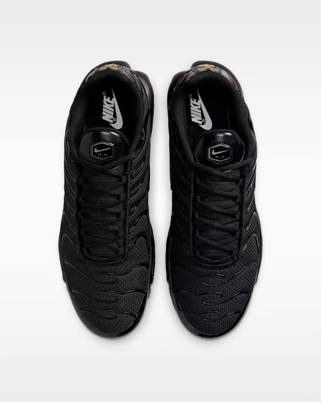 Nike Air Max Plus